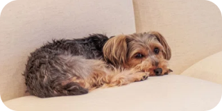 クリエイティブ問題解決力